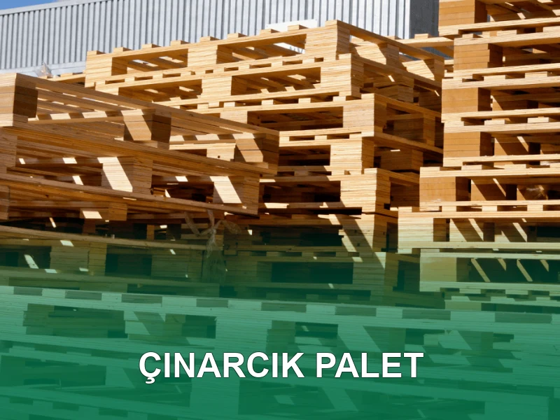 Çınarcık Palet Galeri 1