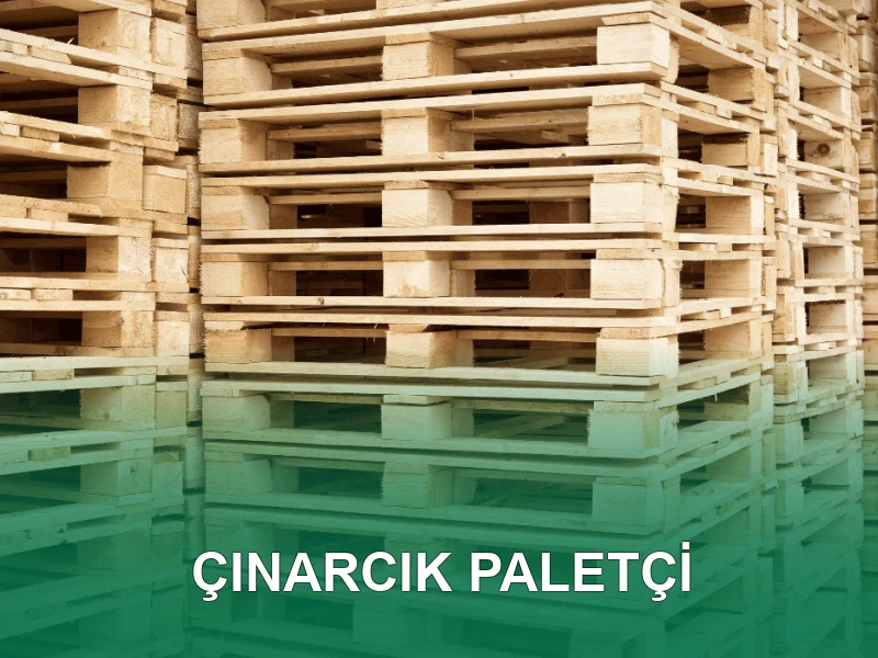 Çınarcık Palet Galeri 2