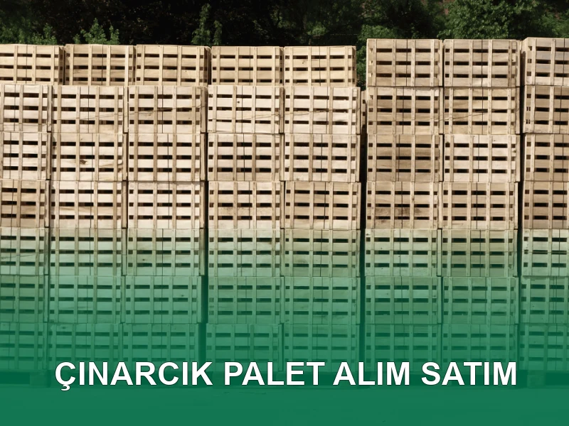 Çınarcık Palet Galeri 3