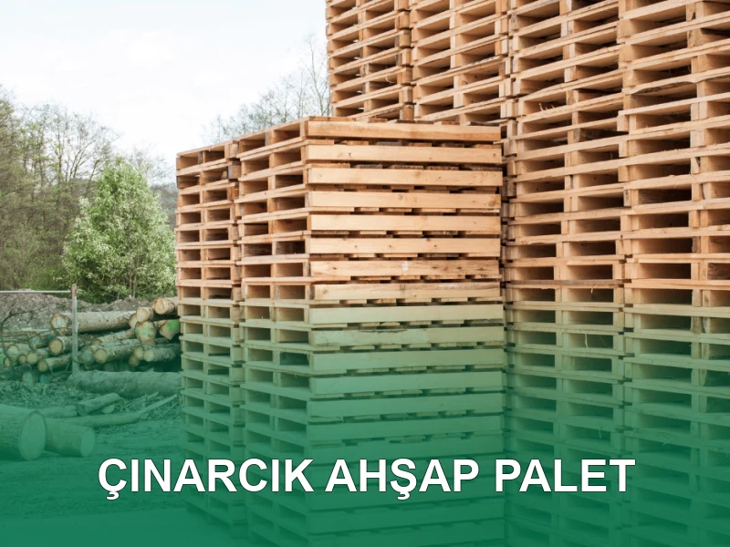 Çınarcık Palet Galeri 4