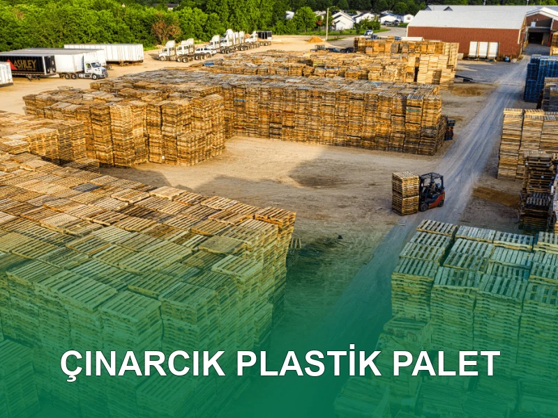 Çınarcık Palet Galeri 6