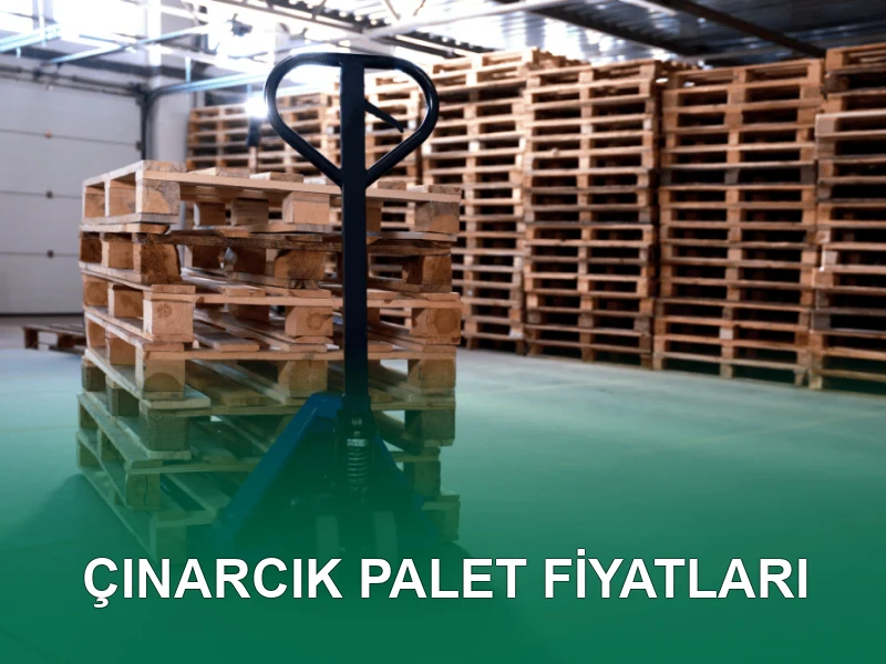 Çınarcık Palet Galeri 8